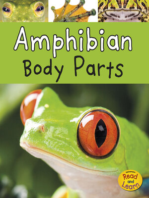 cover image of Amphibian Body Parts